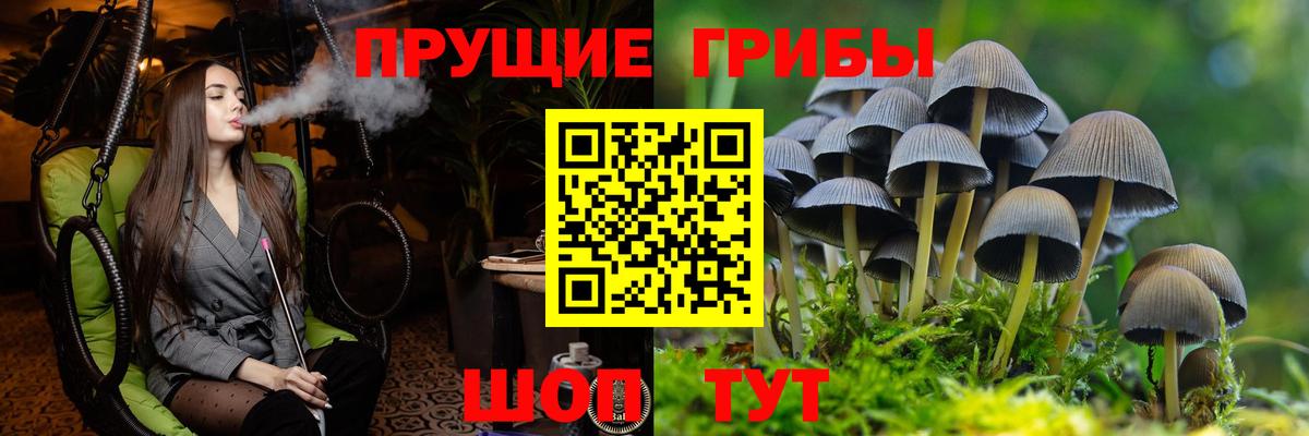 Псилоцибиновые грибы мицелий Ачинск