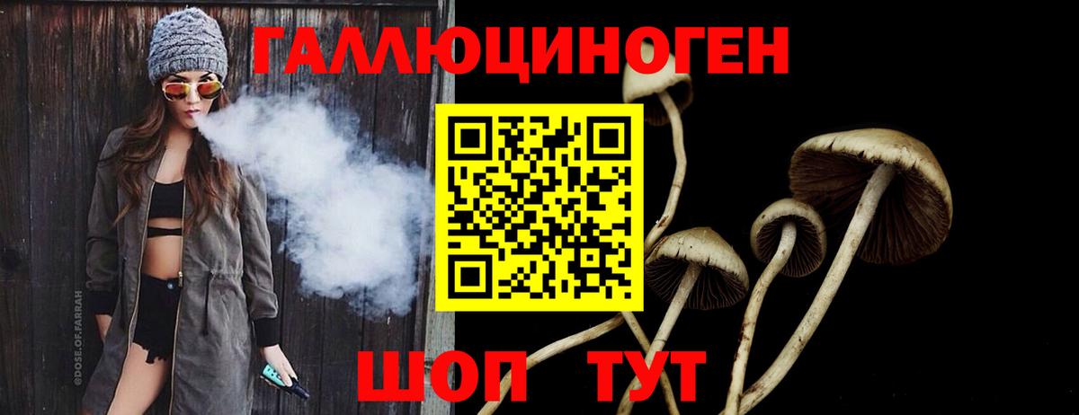 Ачинск  Псилоцибиновые грибы Cubensis  Вход с VPN 